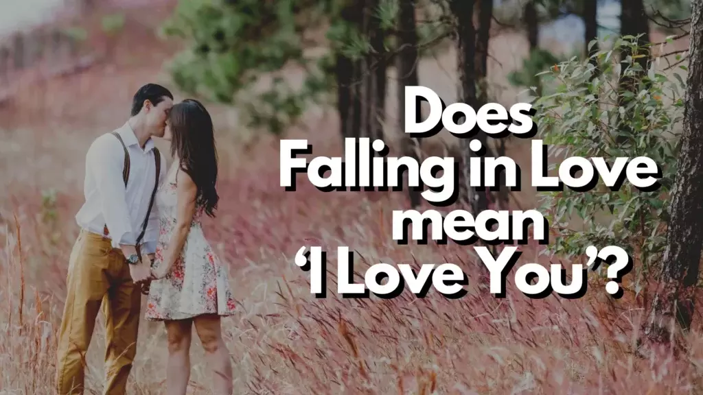 Does falling in love mean 'I love you'?